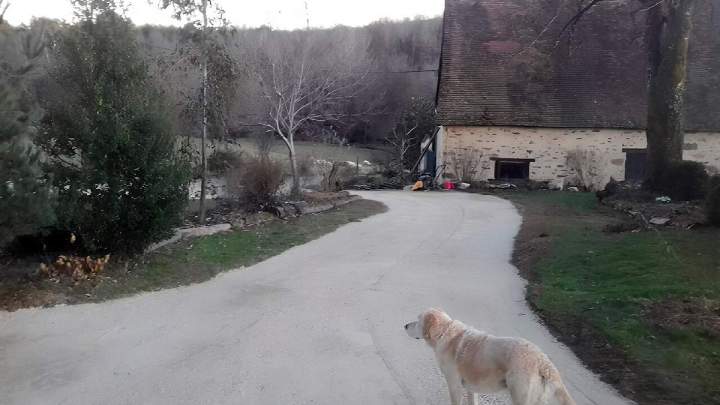 Goudronnage Saint-Yrieix-la-Perche